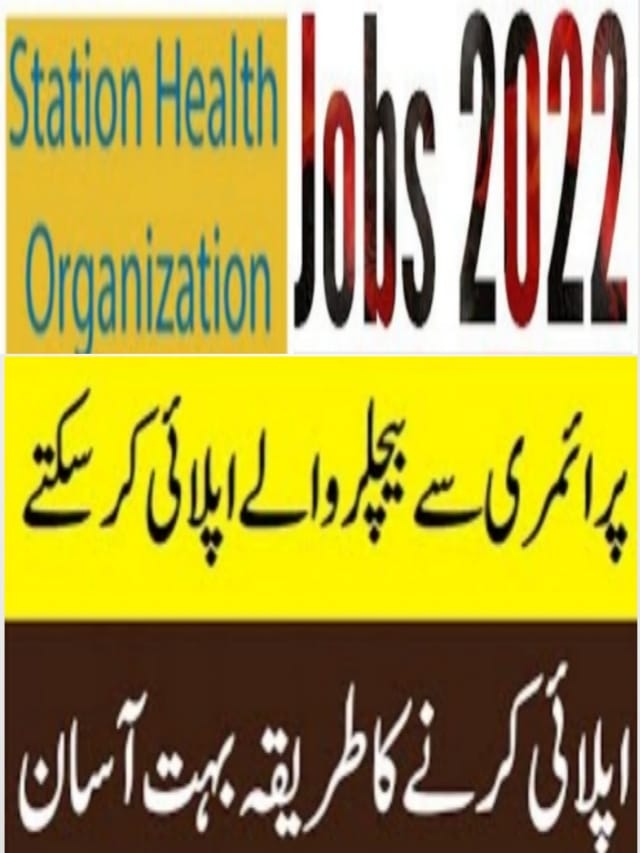 Station Health Organization Lahore Jobs 2022