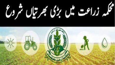 Agricultural Statistics Crop Reporting Services Balochistan Jobs 2022