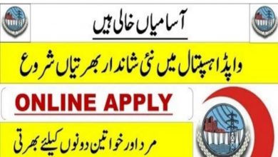WAPDA Jobs 2022 Download Application Form via www.wapda.gov.pk