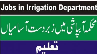 Irrigation & Small Dams Department AJK Jobs 2022