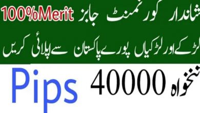 Pakistan Institute for Parliamentary Services PIPS Jobs 2022