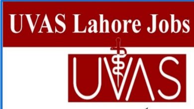 University of Veterinary and Animal Sciences UVAS Jobs 2022