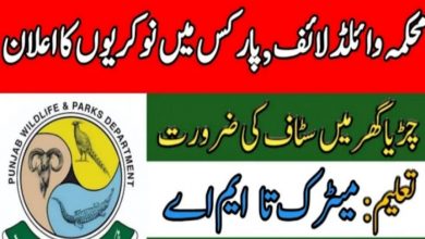 Swat Wildlife Division Jobs 2022 Latest Advertisement