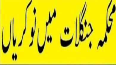 KPK Wildlife Department Wildlife Division Peshawar Jobs 2022