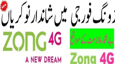 Zong Pakistan Jobs 2022 Apply Online