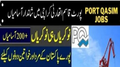 Port Qasim Authority PQA Jobs 2022 – Download Form Online