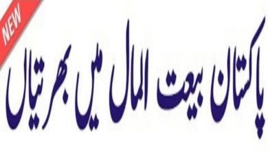Social Welfare & Bait ul Mal Department Faisalabad Division Jobs 2022