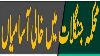 Forest Department KPK Jobs 2022 Dir Upper Division Online Form