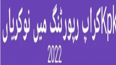 Crop Reporting Services KPK Jobs 2022 Online Form