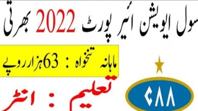 Pakistan Civil Aviation Authority PCAA Jobs 2022 Online Form
