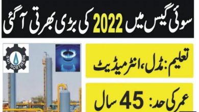 Sui Southern Gas Company SSGC Jobs 2022