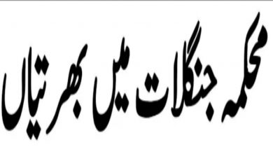 Wildlife Department South Waziristan Dera Ismail Khan Jobs 2022
