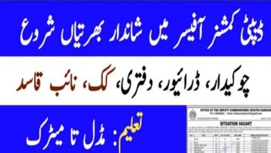 Jobs in Office of the Deputy Commissioner South Karachi