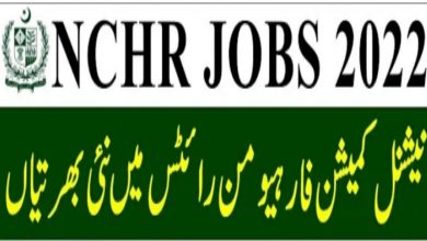 National Commission for Human Rights Jobs 2022 Download Form