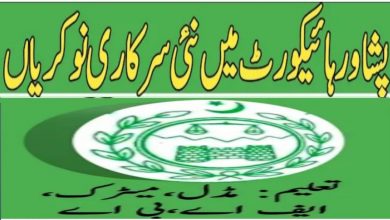 Peshawar High Cout Mingora Bench Swat Jobs 2022
