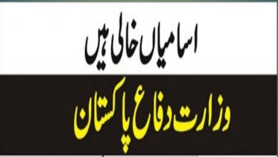 Ministry of Defence Jobs 2022 MOD for Project Director