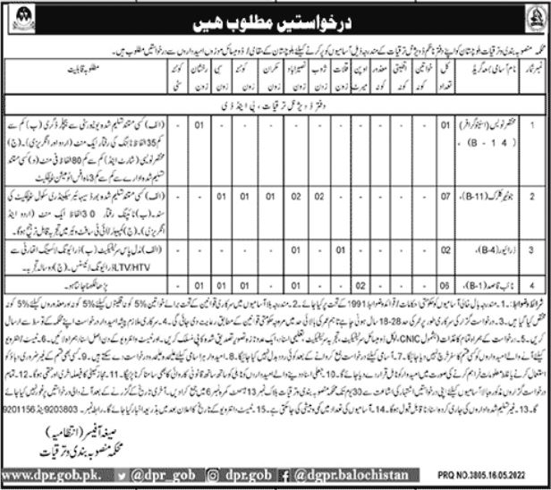 Planning and Development Department Balochistan Jobs 2022