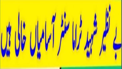 Shaheed Mohtarma Benazir Bhutto Medical University Jobs