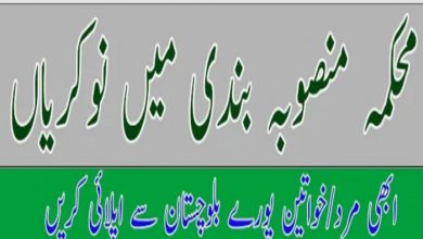 Planning and Development Department Balochistan Jobs 2022