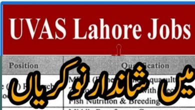 UVAS Jobs 2022 for Research Project – May Advertisement