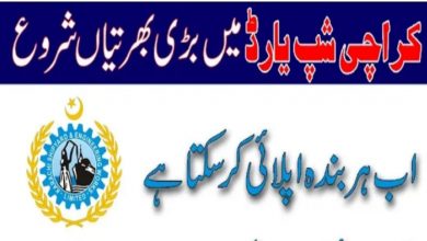KSEW Jobs 2022 – Karachi Shipyard & Engineering Works Careers
