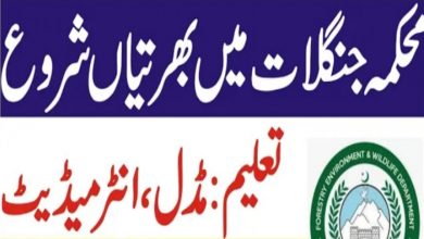 Wildlife Department KPK Mardan Division Jobs 2022