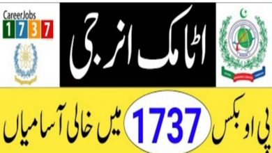 Career 1737 Jobs 2022 Progressive Public Sector Organization – Online Form