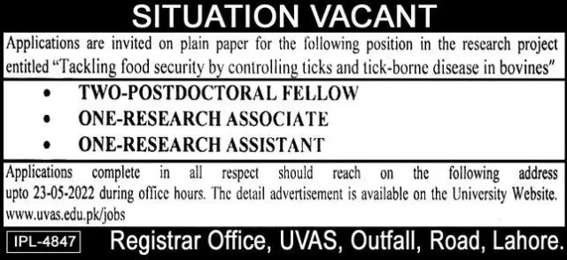 UVAS Jobs 2022 for Research Project – May Advertisement