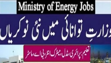 Ministry of Energy Petroleum Division Islamabad Jobs 2022 Online Form