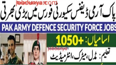 Defence Security Force DSF Jobs 2022 Registration & Test Date Schedule