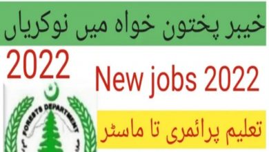 Forest Department KPK Demarcation Division Abbottabad Jobs 2022