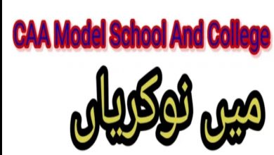 CAA Model Schools and College Karachi Jobs 2022 through NTS