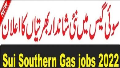 Sui Southern Gas Company SSGC Jobs 2022 Fill Online Form