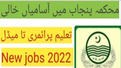 Public Libraries Punjab Jobs 2022