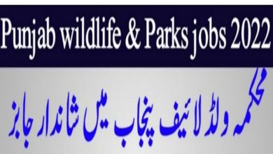 Punjab Wildlife and Parks Department Jobs 2022 Download Form