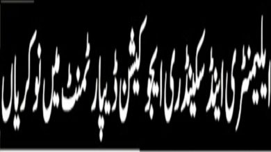Elementary & Secondary Education Department ESED KPK Jobs 2022