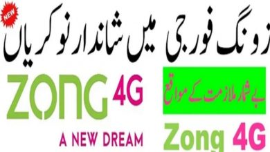 Zong Pakistan Jobs 2022