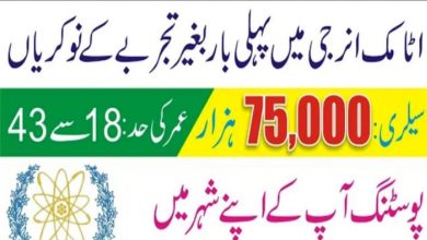 Pakistan Atomic Energy PAEC Jobs 2022 | https://202.83.172.179