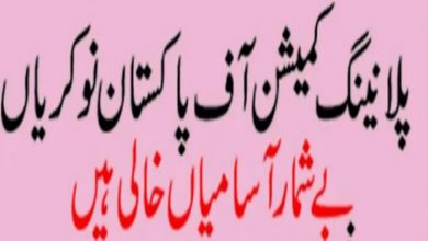 Planning Commission PC Jobs 2022 | Online Form www.pc.gov.pk