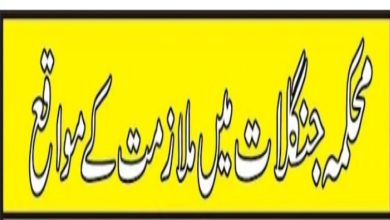 Siran Forest Division Mansehra Jobs 2022 Fill Online Form