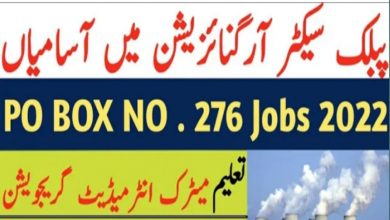 Post Box No 276 Peshawar Jobs 2022 – Public Sector Institute Careers