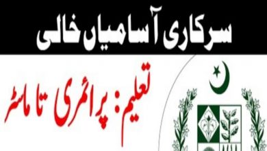 Ministry of Human Rights Islamabad Jobs 2022 | www.ncrc.gov.pk
