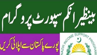 Benazir Income Support Program BISP Jobs 2022 – Online Form bisp.gov.pk