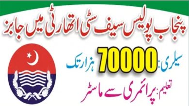 Punjab Safe Cities Authority PSCA Jobs 2022 Fill Online From