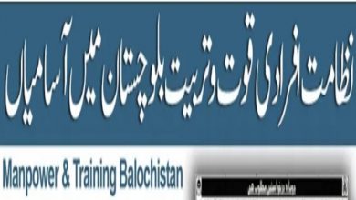 Directorate of Manpower Training Balochistan Jobs 2022