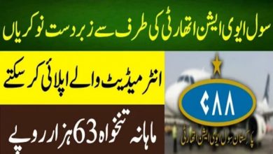 Civil Aviation Authority CAA Pakistan Jobs 2022 – PCAA Ad No. 8