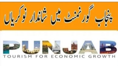Punjab Tourism for Economic Growth Project Jobs 2022