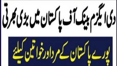 EXIM Bank of Pakistan Jobs 2022 | www.eximbank.gov.pk