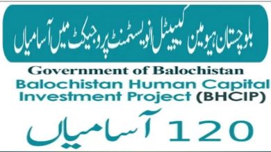 Balochistan Human Capital Investment Project Jobs 2022