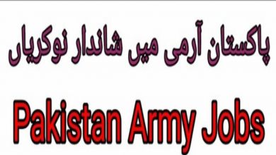 Pak Army CASD EME Rawalpindi Jobs 2022 Application Form